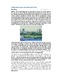 Chieudoido.pdf.jpg