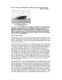 Taubien.pdf.jpg