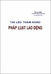 VV00038282_Phap luat lao dong nuoc ngoai_2010.pdf.jpg