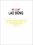VV00048704_Bo Luat lao dong Luat so 45 2019 QH14 ky hop thu 8 Quoc hoi khoa XIV thong qua ngay 20 11 2019_2020.pdf.jpg