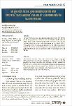 NCLP3-421_VuVNGkienTikTokKNCVNtuCCSafeharbourcuaHKLMCAvaNewZealand.pdf.jpg