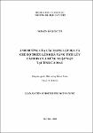 Luan_an_Tien_si_-_Nguyen_Ha_Quoc_Tin.pdf.jpg