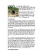 TanhoangBanHo.pdf.jpg