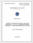 29728.pdf.jpg