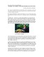 SaiphamVinashin.pdf.jpg