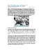 Pacpo.pdf.jpg