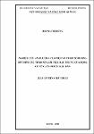 ToanVan_LuanAn_NCS_HoangTheDung.pdf.jpg