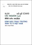 VV00031133_Huy dong va su dung cac nguon luc chu yeu nham dam bao tang truong kinh te o Viet Nam_2009.pdf.jpg