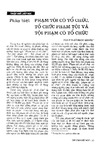 Luathoc3.1997-B11_Phamtoicotochuc.pdf.jpg