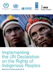 indigenous-en.pdf.jpg